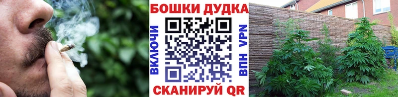 Бошки Шишки план  Алейск 